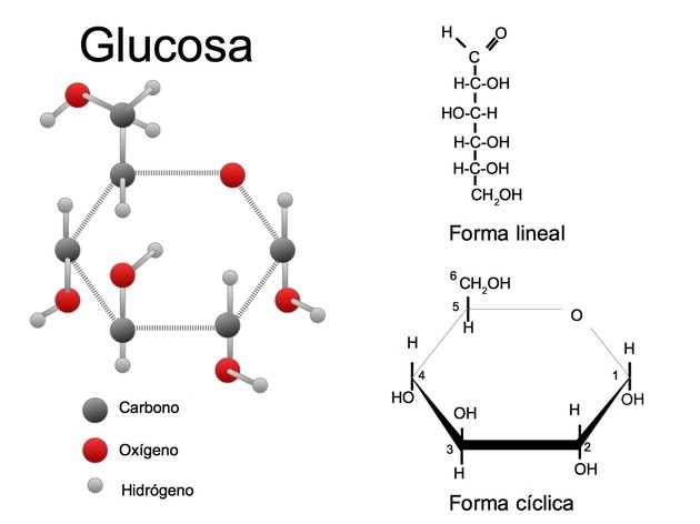 formula química de la glucosa