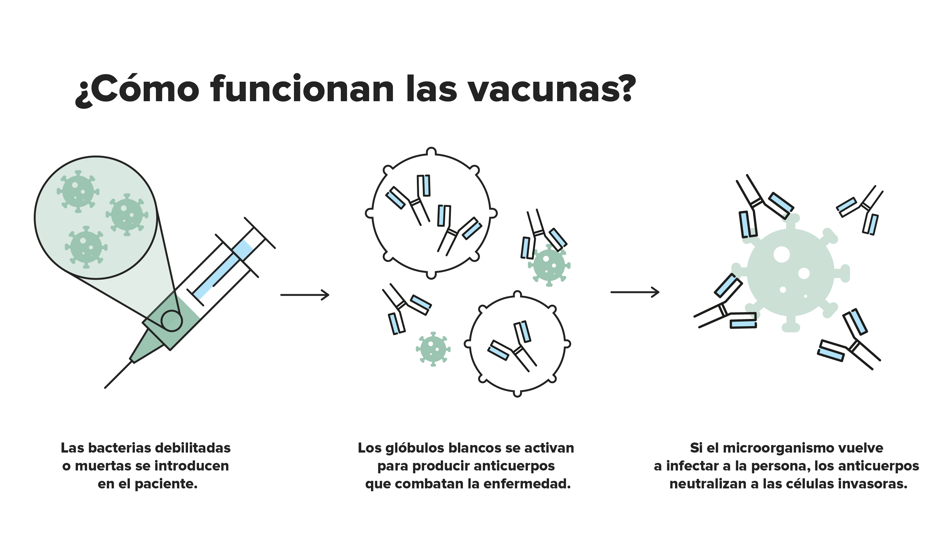 imagen de respuesta a la vacuna